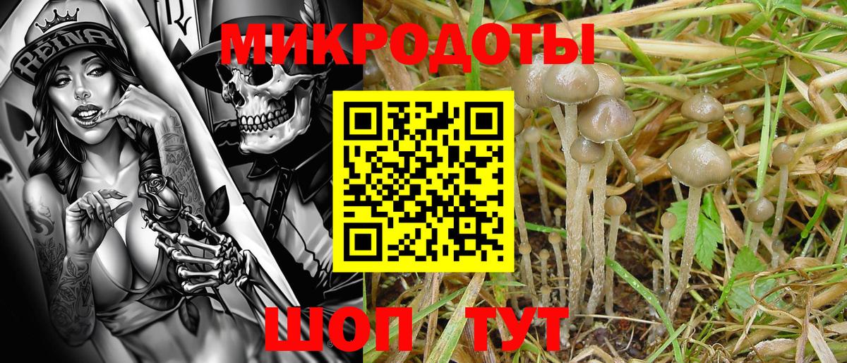 Галлюциногенные грибы MAGIC MUSHROOMS Лангепас