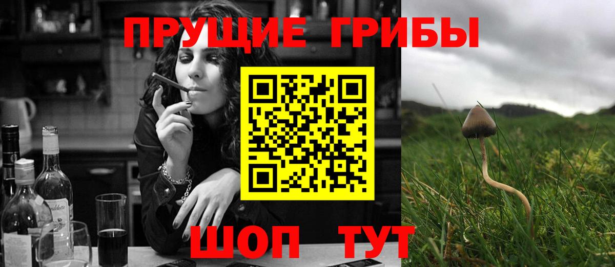 Псилоцибиновые грибы Magic Shrooms  Вход с VPN  Лангепас 